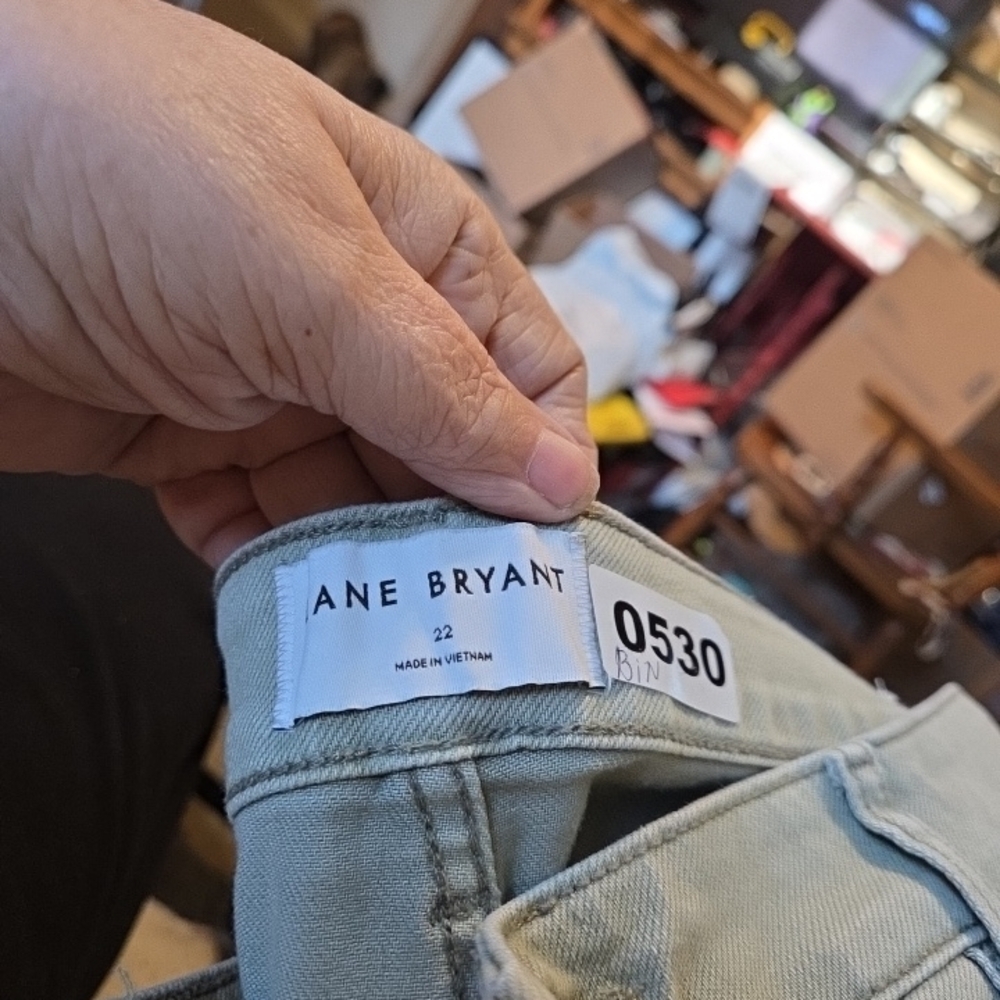 Lane Bryant Soft Blue Denim